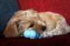 DSC03261.JPG