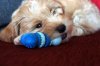 DSC03254.JPG