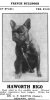1917_FrenchBulldog.jpg
