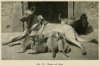 1920_GermanShepherds2.jpg