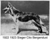 1922_GermanShepherd.jpg