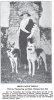 1922_GSDs2.jpg