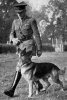 old.german.shepherd.dog.photo38.jpg