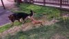 20150310_162741.jpg