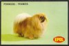 1974_Peke_PetFoodCard.jpg