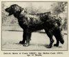 1920_Newfoundland_DuttonsQueenOfCoyne.jpg