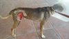 20150626_160136.jpg