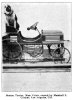 1907_BostonTerrier.jpg