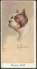 1924_BostonTerrier_CigCard.jpg