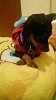 PicsArt_1449777565513.jpg