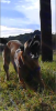 upload_2015-12-16_18-33-28.png