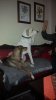 20151219_153132.jpg
