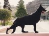 gsd I.jpg