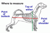 skeleton.gif