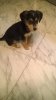 WP_20160103_17_40_17_Pro.jpg
