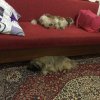 image.jpeg image.jpeg