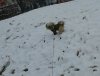 upload_2016-1-13_19-52-38.jpeg