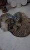 upload_2016-1-13_19-56-56.jpeg