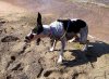 IMG_113887172808559.jpeg