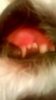WP_20160123_19_53_34_Pro.jpg WP_20160123_19_53_34_Pro.jpg