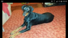 Screenshot_2016-02-06-20-08-08.png Screenshot_2016-02-06-20-08-08.png
