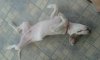 20150815_120128.jpg 20150815_120128.jpg