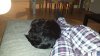 20160222_184354.jpg