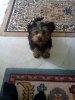 IMG_20160306_113643.jpg