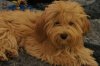 DSC04495.jpg
