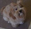 DSC04375.jpg