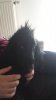 20160312_103619.jpg