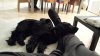 20160310_211114.jpg