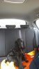 20160313_104737.jpg