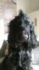 IMG-20160314-WA0006.jpg