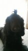 IMG-20160314-WA0008.jpg