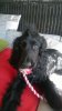 IMG-20160314-WA0007.jpg