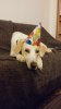 20160324_204429.jpg