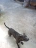 IMG_20160401_143852.jpg