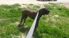 20160408_120006.jpg