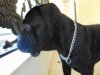 DSC00100.JPG