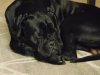 DSC00072.JPG