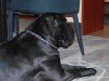 DSC00040.JPG