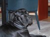 DSC00041.JPG
