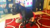 20160130_152305.jpg