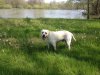 nestos 3.4.16 018.JPG nestos 3.4.16 018.JPG