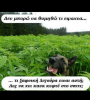 upload_2016-4-11_0-5-30.png