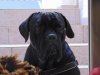 DSC00268.JPG