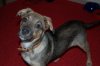 SAM_0206.JPG