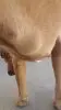 20160416_140809.jpg