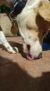 20160416_161239_Burst08.jpg